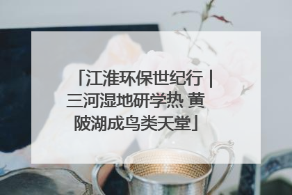 江淮环保世纪行｜三河湿地研学热 黄陂湖成鸟类天堂
